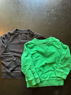 Primary Crewneck Sweatshirts in Green & Black